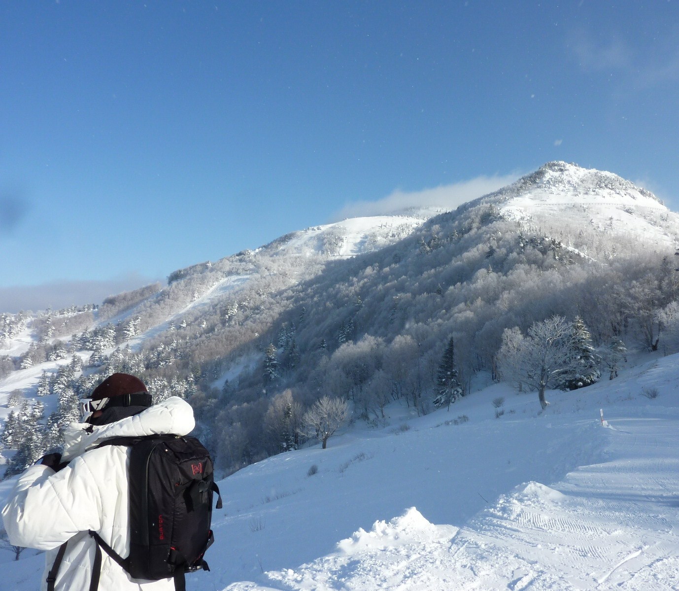 YAMABOKUキャットツアー_c0228241_2136488.jpg