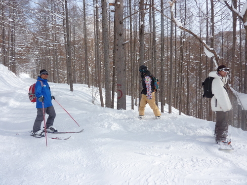 YAMABOKUキャットツアー_c0228241_21545024.jpg