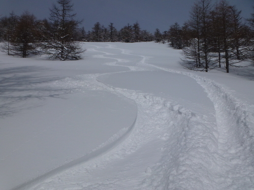 池の平湿原バックカントリー２_c0228241_20533315.jpg